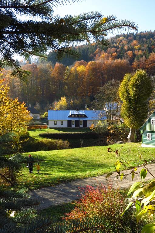 Guest House U Lakomce Desná Eksteriør billede