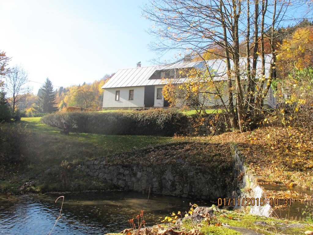 Guest House U Lakomce Desná Eksteriør billede