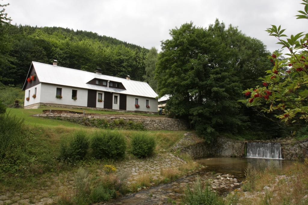 Guest House U Lakomce Desná Eksteriør billede